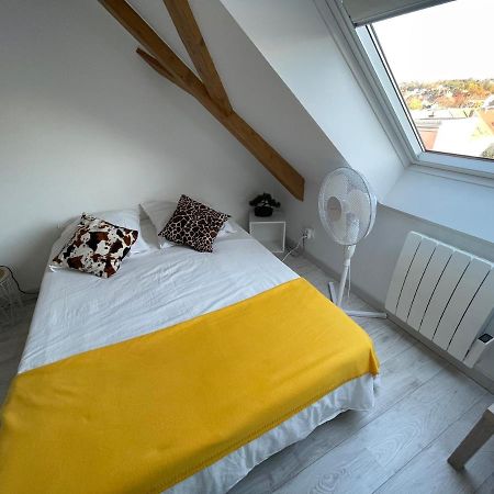 Esprit Jaune - Cosy Studio Salengro - Sauna & Sport Club Мюлуз Екстериор снимка